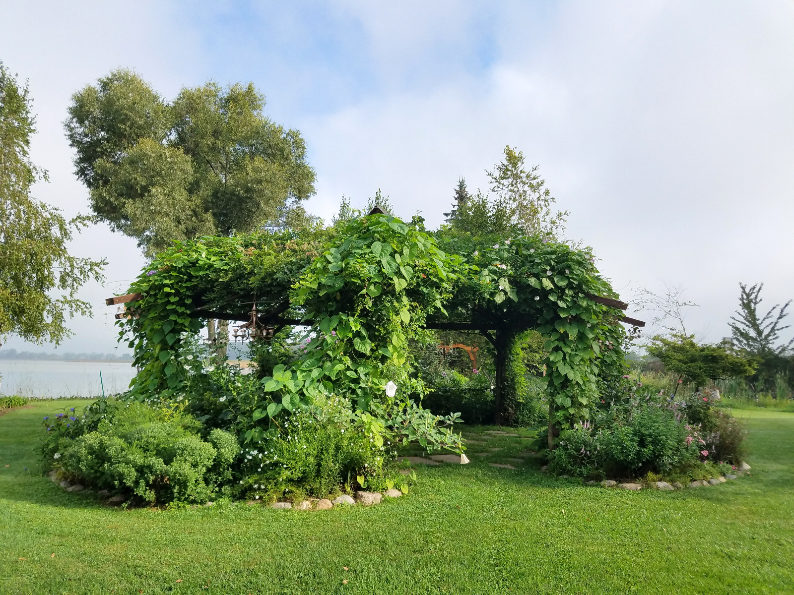 The huge white flower at the left post base is a Moonflower; they open late afternoon and remain open all night, closing early in the day